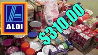 GROCERY HAUL$310.00 *ALDI & WALMART* JANUARY 2020