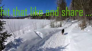 Winter flow trail - Fat bike adventure