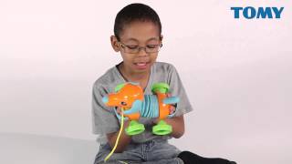 Музыкальная каталка на веревочке "Щенок Марли - Гармошка" от компании Tomy
