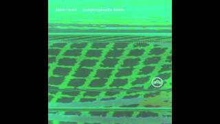 Atom Heart - I See More Than You Do (Morphogenetic Fields)