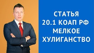 КоАП РФ Статья 20.1 Мелкое хулиганство - Административный адвокат