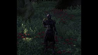 Elder Scrolls Online - Magicka Dragonknight
