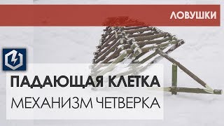 Как сделать ловушку на зверей и птиц, падающая клетка на спусковом механизме четверка