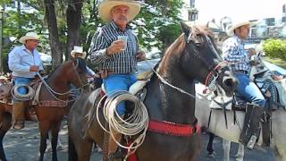 ENTRADA DE LA MUSICA QUESERIA COLIMA MAYO 2016.VID