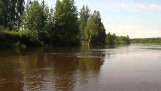 Река Ветлуга в районе п.Малое Раменье