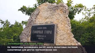 Заповедная Россия | Природа | Телеканал «Страна»