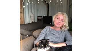 Доброта это...