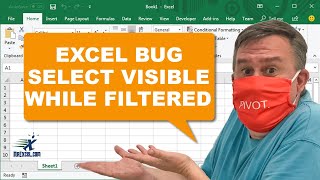 Excel - Select Visible While Filtered - Odd Bug - 2354