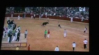 vaquillas zaragoza 14102009 (tommy2)