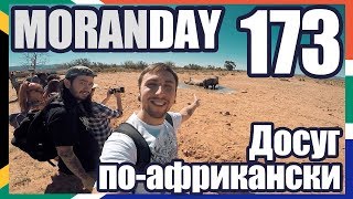 Moran Day 173 - Досуг По-Африкански (ЮАР) ??