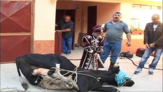 ARAS KINA DVD 1