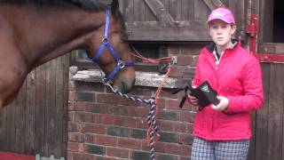 Sammy Product Review: Tri-Zone Open Fronted Tendon Boot