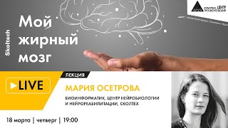 Лекция "Мой жирный мозг" в рамках проекта "Сколтех в Архэ"