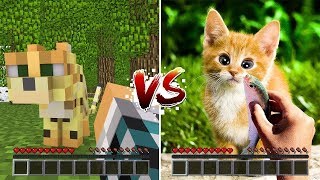 REALISTIC MINECRAFT IN REAL LIFE ~ IRL ANIMATION The Best Episode Top 5 Minecraft