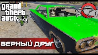 GTA 5 - Верный друг (Реальная жизнь RP #4)