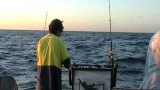 Barwon Banks Fishing Trip