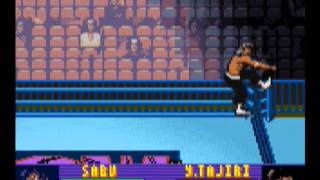 ECW Hardcore Revolution (GBC) gameplay