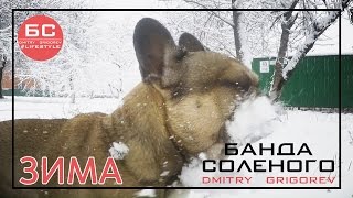Оля радуется подарку | СНЕГ на Юге | Паримся в бане | Оля учится стрелять | Кураж на картинге