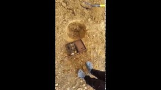 Trésor découvert par mon petit garçon