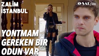 Damla Civan'ı Kıskançlık Krizine Soktu? Yontmam Gereken Bir Odun Var | Zalim İstanbul 22. Bölüm
