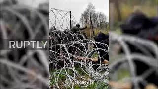 Poland / Belarus: Afghan refugees detained by Polish security forces at Usnarz Gorny border