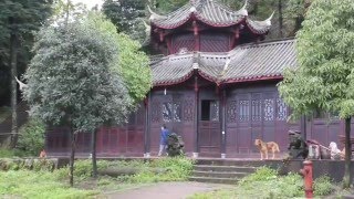 Qingcheng Shan, une montagne taoïste