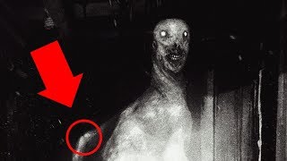 THE TRUTH ABOUT SCP.. (Roblox Scary Game)