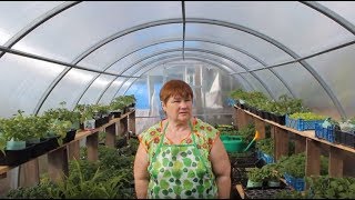 Богатый Урожай Вопреки Погоде. Отопление Теплицы.