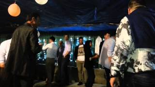 Live Nunta Mangalia