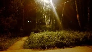 Любовь к природе