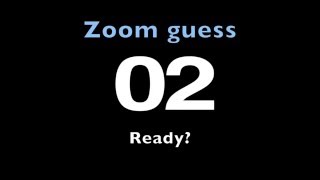 Zoom guess game