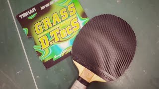 [TT] Tibhar Grass D.TecS - Immer noch ein Störfall?