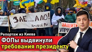 Масштабный митинг ФОПов на Банковой. Полный репортаж