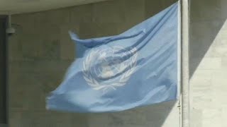 UN urged to take criminal action against widespread sexual abuse