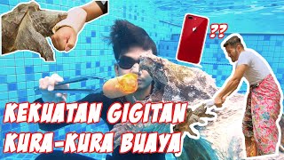 IPHONE DESTROYED BY ALLIGATOR SNAPPING TURTLE TURTTLE  ! ! !
