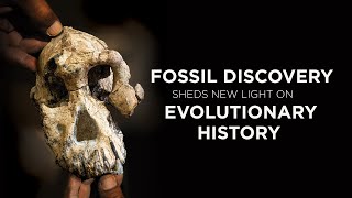 The Face of Lucy’s Ancestor Revealed