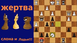 шахматы жертва ладьи и слона ради мата