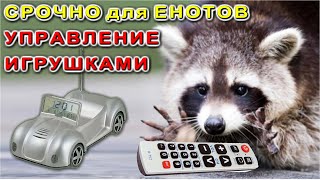 Управляемые Движущиеся Модели / ПО ПРОСЬБАМ ЗРИТЕЛЕЙ / удивляют и забавляют.