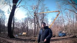 Обрезка Омелы с автовышки. День 2