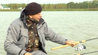 ловля карпа на поплавок осенью с экспертами sensas