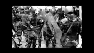 დემოკრატიის შუქურა