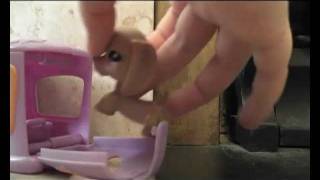 LPS Village part 1