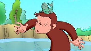 Curious George | Little Fish, Littler Pond | Kids Cartoon | Cartoons For Kids | WildBrain Cartoons