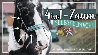 4in1-ZAUM selbstgemacht ?✂️ | Trense, Kappzaum, Sidepull, Halfter // A&G HorseDiary