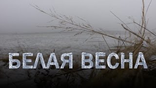 Весенняя охота. Белая весна.