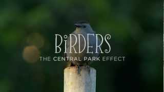 Birders: The Central Park Effect Trailer