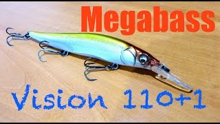 Megabass Vision 110+1 Review + Underwater Footage
