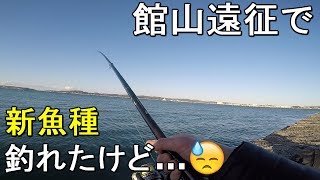 【自衛隊堤防】館山市遠征！真冬の超厳寒期なら千葉県の房総半島で人気の一級ポイントでもがら空きで快適に釣りができるはず！？【2020.01.30】