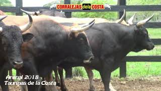 ARENAL 2018  Visita a la Ganaderia El Principio de Taurinas de la Costa