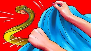 الطريقة الصحيحة للإمساك بالأفعى إن دخلت منزلك